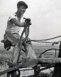 horse-cart